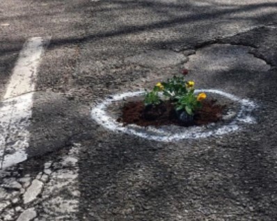 Pothole flowers